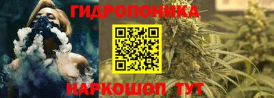прущие грибы Ипатово